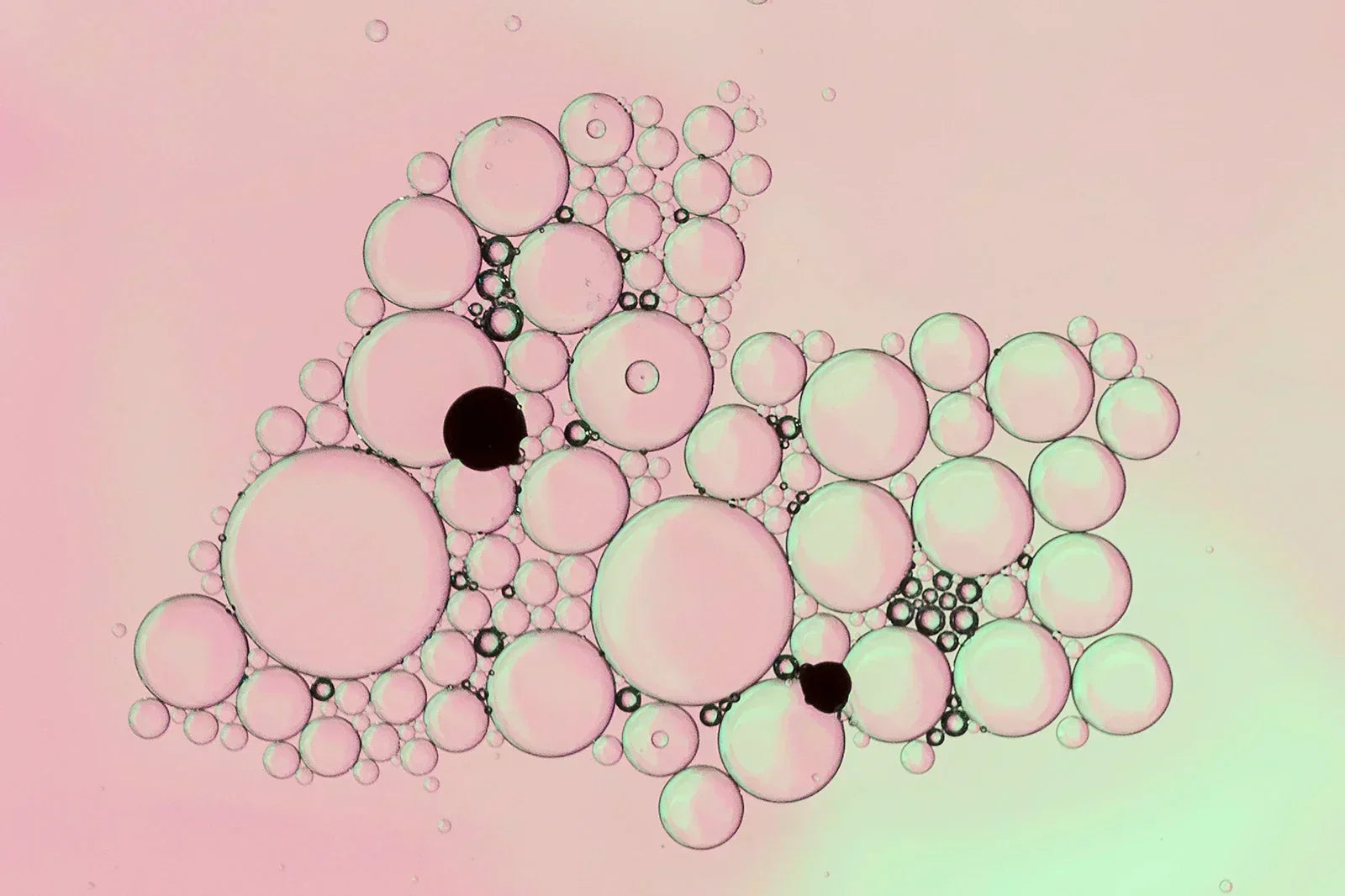 Cluster of translucent pale pink and green bubbles with black dots on soft pink background